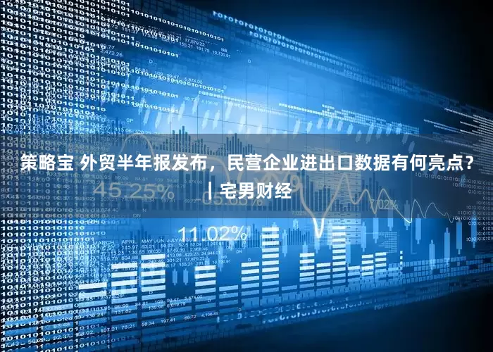 策略宝 外贸半年报发布，民营企业进出口数据有何亮点？｜宅男财经